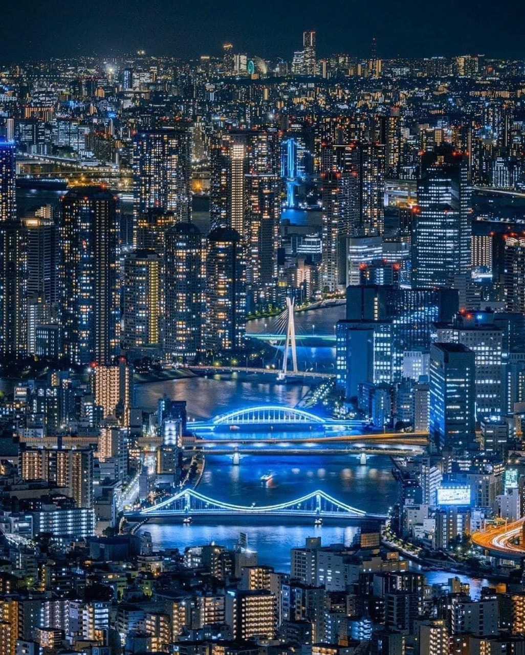 Ngắm Tokyo Nhật Bản về đêm
